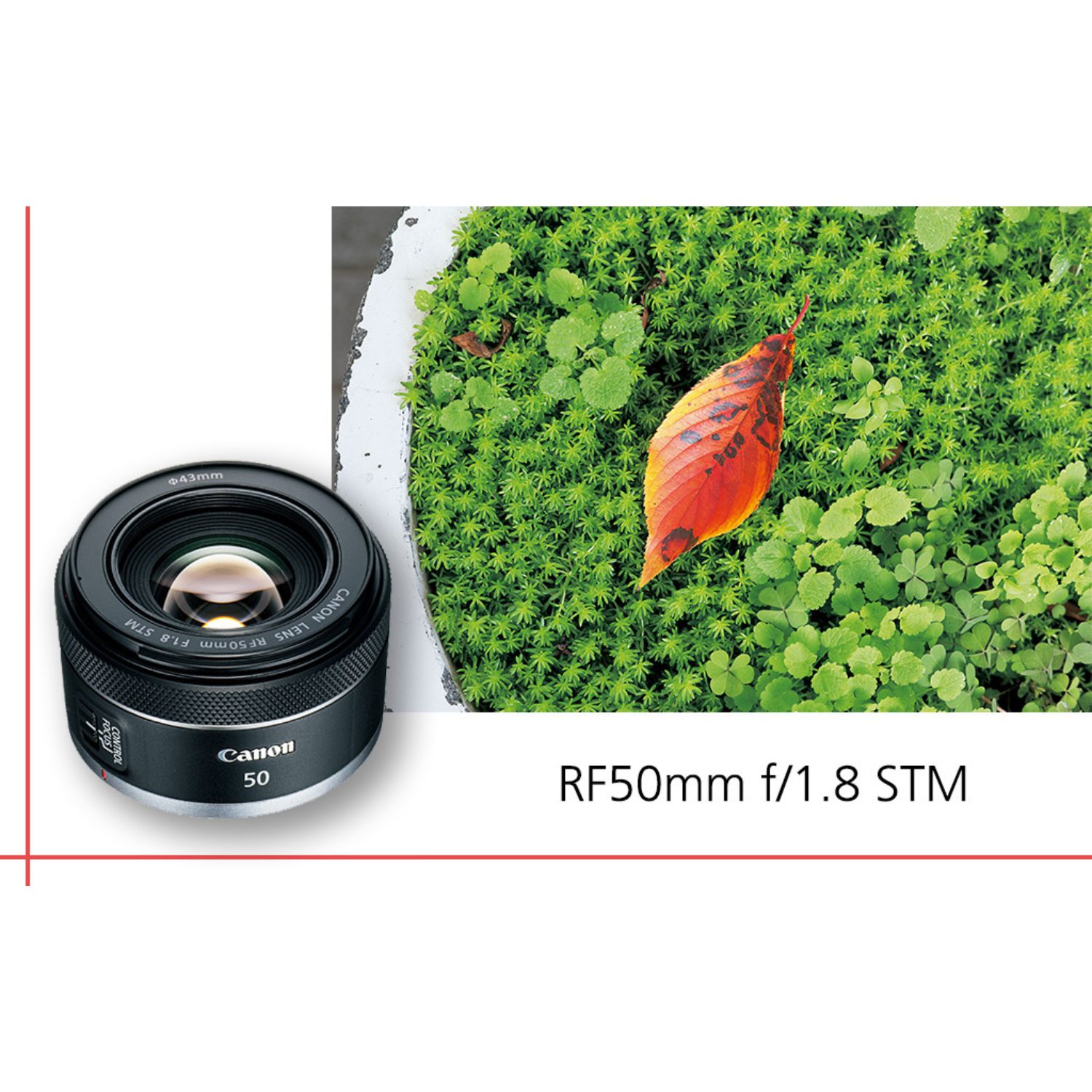 Buy Canon RF 50mm STM Lens Online Buy in India